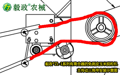 毅政牌ZL1系列有離合器的免剝皮玉米脫粒機(jī)，主傳動(dòng)三角帶正確安裝